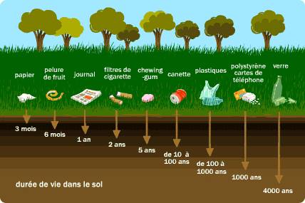 Un contenant de verre ou un contenant de plastique Tupperware? - Caroline  Schoofs - Ma vie en Tupperware