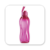 Bout Eco - grande bettrave