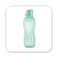 Bout Eco - petite menthe