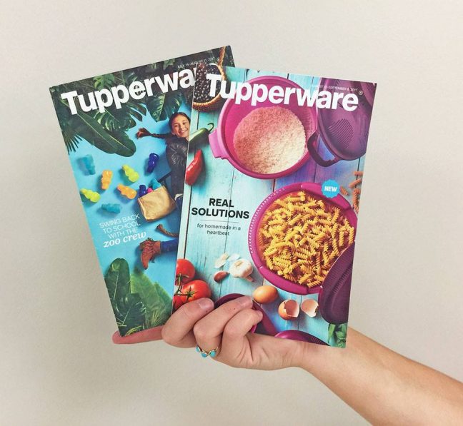 20 façons d'utiliser les Bacs à glaçons Tupperware - Caroline Schoofs - Ma  vie en Tupperware