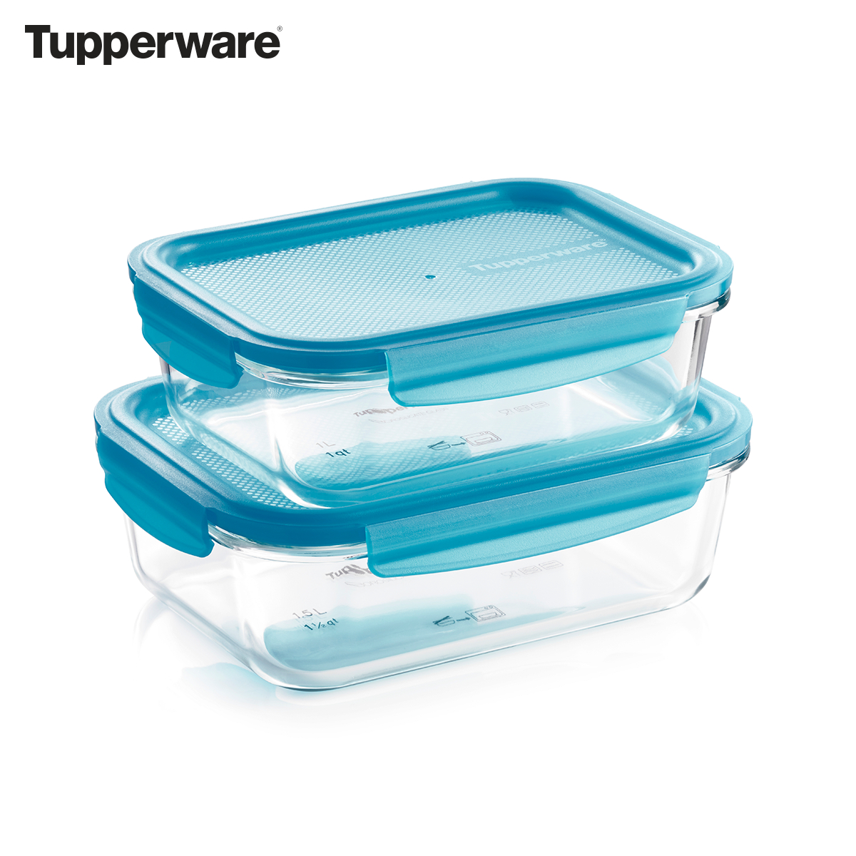 Un contenant de verre ou un contenant de plastique Tupperware? - Caroline  Schoofs - Ma vie en Tupperware